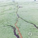 성읍리-28 연합뉴스