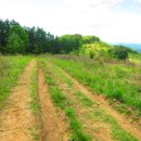 신흥목장 이미지