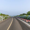 구좌 해안도로 이미지