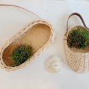 킨(KIN)라탄 이미지