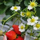 천마태권도 이미지