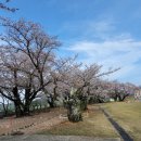 성송초등학교 이미지