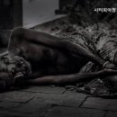 시터피아