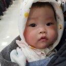 박솔빈