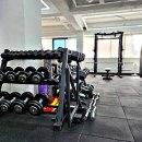 더 리얼핏 이미지