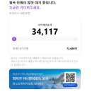 뭉치펫택시 | 2024년 11월 일상(4)