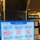 마사회뒷편 | 서울 근교 과천 경마공원 &#39;렛츠런파크 서울&#39;에서 벚꽃축제와 경마 동시에 즐기기 (초보 경마하는 법...