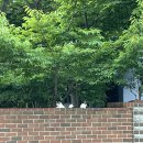 건지초등학교 | 8월 셋째주 | 평범한 일상 속 소소한 변주