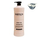 샴푸헤어 이미지