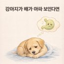 아델동물병원 이미지