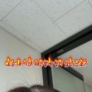 슈가링당진점