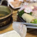 싱싱횟집 | 대구 횟집 추천 - 싱싱횟집 진심 후기 , 달서구 횟집, 죽전네거리 맛집, 죽전역 맛집, 죽전역 룸 횟집