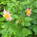 (주)세농 이미지