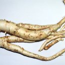 세컨브레스 이미지