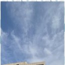 우리생활법률 행정사 이미지