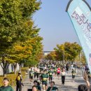 강서구-10 이미지