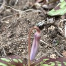 외산약국 이미지