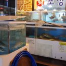 태평새벽수산