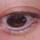 안동삼성연합안과의원 이미지