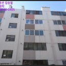 사파동148 이미지