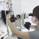 메이플동물병원 - 서구 원당대로 853 | 메이플동물병원