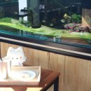엔젤힐링카페