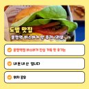바스버거 티스토리