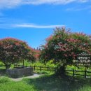 연세교육공인중개사사무소 이미지