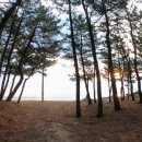 공현진 민박 이미지