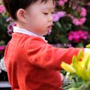 신데렐라 노래연습장 이미지