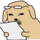 릴리잉글리쉬