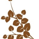 느루공방