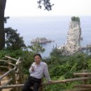 ㈜세일여행사 이미지