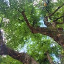 초장동5 이미지