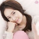 깡촌강쥐 이미지