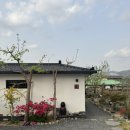 자천초등학교 | 대구근교 영천 감성 촌캉스 독채펜션 : 자천별당