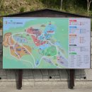 2026 진주 월아산 숲속의 진주 수국축제 개화 직접 담은 정보 주차 야간개장