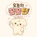 다우킴벌리 네이버블로그
