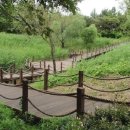 하단동179 이미지