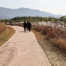 낙동강자전거길7 이미지