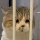 타이어테크 포항점 | 포항 타이어테크 포항점 재방문 후기