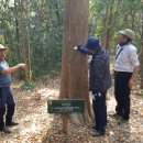 강화자연휴양림 이미지