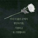 남구-047 이미지