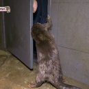 햇님농장 이미지