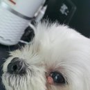 나눔 양한방 동물병원 이미지