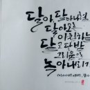 캘리이야기끌림