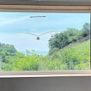 스테이 무코 이미지