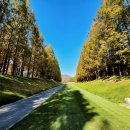 블루헤런G.C 이미지