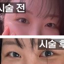 리 뷰티샵(lee 뷰티샵) | 립타투로 유명한 리피크 속눈썹펌도 잘한다고요?? 네. 장성동 신상 뷰티샵 리피크 후기