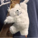 퉁탕 위시 / 위시리스트